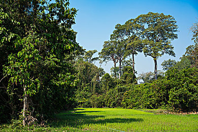 黄色软件下载中国网：虚拟车库中的极限调校艺术，赛车改装进阶全解析-2