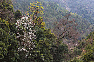 看国产av：国产赛车新作极速国产上线，亲历中国汽车工业崛起之路-2
