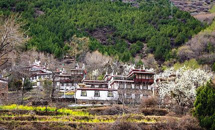 娇妻接受了3p全文：竞速新纪元，三重协同驾驶系统颠覆传统赛车游戏-2