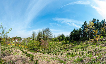 中国av片：极速穿梭，霓虹都市的竞速诗篇与改装传奇-2