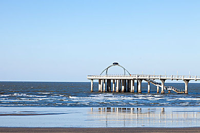 体育生被调教:从天赋爆发到精准掌控,体验赛车新人的职业蜕变之路-4