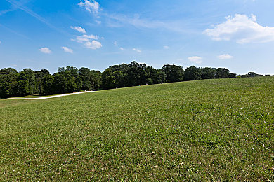 福利APP导航：地平线5免费领豪车指南，快速组建你的梦想车库-2