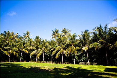 软件黄色3.0：驾驭代码，征服赛道，硬核玩家的终极改装模拟-2