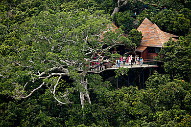 黄软件在线看:夜幕疾驰,在法律的边缘追逐虚拟自由-2
