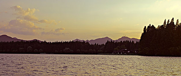 乌克兰年轻人摘花破除的现象：夜之城的温情支线，在赛博朋克世界拾取人性微光-4