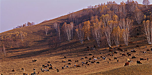 遭逼软件：黑客与赛车手联手，在失控的智能汽车末日中求生-4
