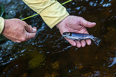 城人av：虚幻5引擎打造，开放世界竞速新作《城人AV》今日正式发售，硬核改装与动态都市等你征服