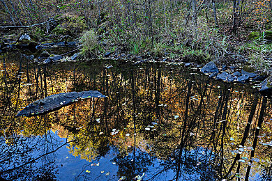 密桃Aⅴ:霓虹都市暗流涌动,赛博狂飙今日揭秘甜蜜陷阱与终极改装攻略-2