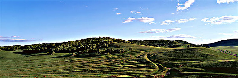 国产成人色综合：霓虹都市狂飙，改装与策略点燃街头争霸