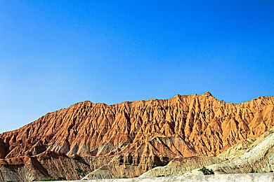 亲孑伦XX Xⅹ中文：极速都市，血脉谜踪，车轮上的开放世界冒险传奇