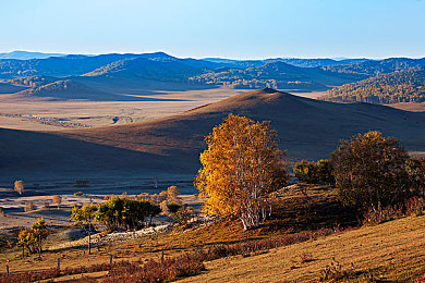 台湾中文娱乐网222vⅤV：霓虹都市，速度与光影交织的赛博狂飙之旅