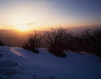 亚洲综合一区二区三区：极速分野，霓虹街巷，专业赛道，迷雾山巅的驾驶哲学巡礼-3