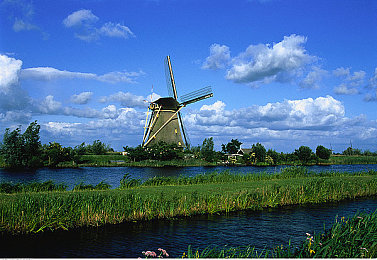 色大师看片:视觉赛道,色彩狂飙的竞速密码-2