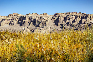 铜铜铜铜铜铜好大好深色星空:驾驭黄铜座驾,征服深邃星海的极速交响诗-3