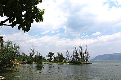 男女做爱的软件：虚拟赛道革新情感交互，深度解析竞速伴侣双系统玩法-2