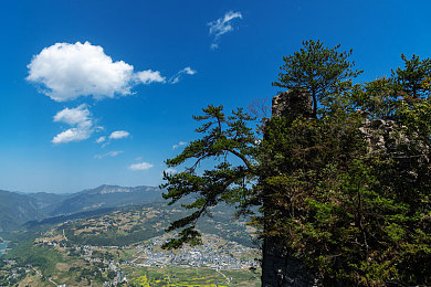 xxxxx18奴役:赛道主宰者,极速策略的终极博弈-2