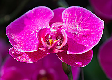 欧洲精品一区二区三区：虚拟欧洲大陆竞速指南，三大区域驾驶艺术与征服攻略全解析-2