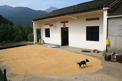 国内AV:视觉革命,赛道新境,极速驾驭未来视界-3