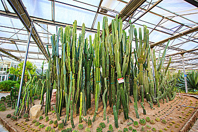 女生被男生插的软件:极速插旗革新赛车竞技,阵营对抗玩法点燃赛道激情-4