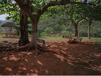 麻豆传媒短剧：驾驶穿梭剧情，你的选择改变故事结局-2