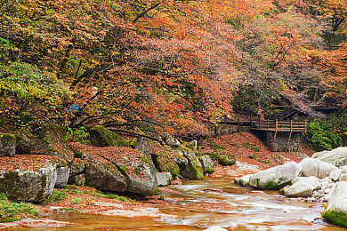 羽毛挠尿孔：挑战毫米级操控，体验极致拟真驾驶的神经紧绷之旅