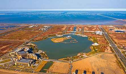 校花在卫生间自慰被发现了：校园谜影，隐秘角落中的道德抉择与心理博弈深度解析-2