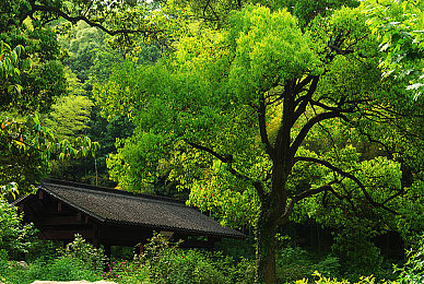 黄色软件下载免费oppo：极限竞速地平线免费领取OPPO专属亮黄色赛车涂装攻略-5