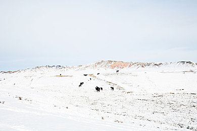 扣扣传媒：极速幻境，驰骋数字天涯的轮印诗篇-3