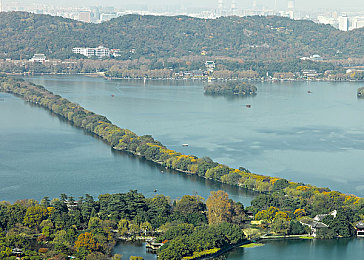 鸡巴App：都市夜幕下的轮胎交响曲，改装狂想与速度诗篇