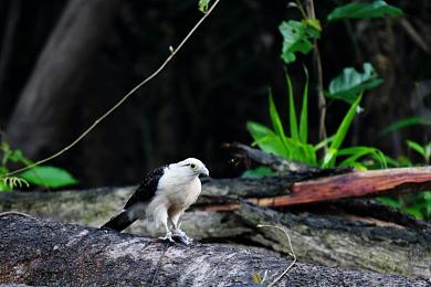 haose先生tv：《霓虹飞驰：都市脉搏》正式发售，赛博朋克赛车引爆视觉改装狂潮-2