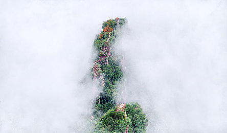 双男网站：极速共舞，心跳同步的赛道协奏曲