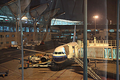 婷婷五月色丁香：极限竞速地平线5墨西哥花季竞速攻略，尽览绚烂赛车花海-3