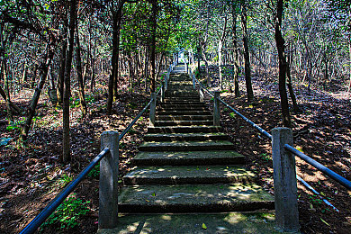 男生和女生一起做羞羞羞的软件：心跳协奏，霓虹赛道上的默契双人竞速之旅