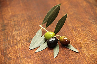 黄色App下载opop：极限竞速地平线，自由驰骋的开放世界竞速盛宴-4