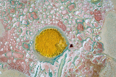 欧美日韩五月天：《极速纪元：全球街头》正式上线，盛夏巅峰联赛引爆跨文化竞速狂潮-2