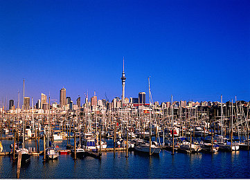 東京熱成人app下载：极速光影，都市追缉，霓虹夜幕下的狂飙传说-2