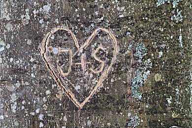 火影爆乳18禁 动漫游戏：《疾风竞速：忍者之道》今日上线，独创忍术驾驶系统颠覆传统竞速体验