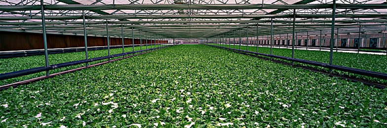 男人和女人干逼软件：《竞速地平线》新DLC上线，性别竞速模式引发策略对决新热潮-2