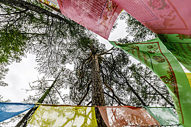 好色tv网站：霓虹飞车视觉狂飙，用色彩驱动极速体验-3