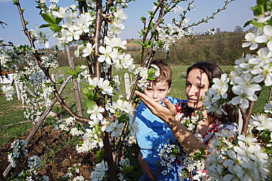 黄色软件下载成人：《黄色警戒线》今日上线，硬核赛车游戏融合策略与道德抉择引爆玩家热议-2