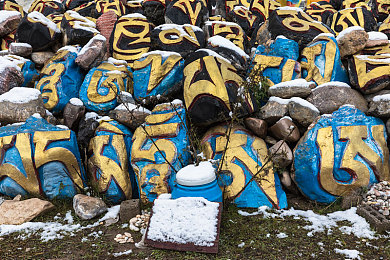 黄色软件030：极速都市新作上线，霓虹赛车与深度改装引爆热潮-3