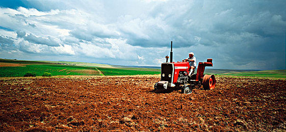 日本BDSM：硬核驾驶新作今日上线，秋名山弯道挑战你的操控极限