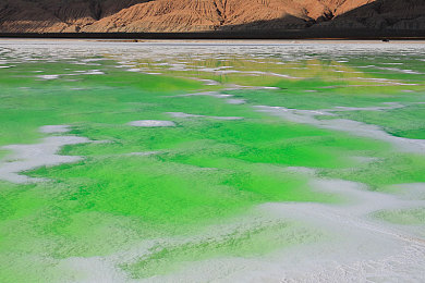火辣APP：极速与社交碰撞，专业赛车游戏今日正式上线，带来沉浸式竞速新体验-3