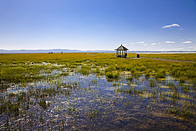 含蓄草2025隐藏路径：当驾驶与谜题交织，探索废土世界的终极秘密-3