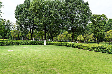 污十大软件：泥泞勋章，墨西哥狂野驾驶的终极哲学-4