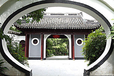 斗罗大陆全黄H全肉后宫:魂师阵容搭配秘技公开,全新魂环猎杀攻略震撼来袭-2