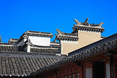 欧美性五月天：极限竞速地平线5墨西哥之旅，开放世界驾驶狂欢全面解析-2