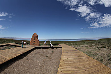 机机和机机手机免费版：钢铁狂飙，改装竞速新纪元