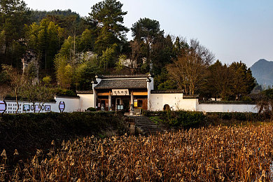 十大禁止黄色软件：虚拟赛车游走规则红线，新作《极限违规：街头档案》引发平衡争议-4