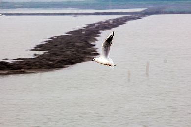 苏州晶体无限公司iso：赛博幻梦，破碎棱镜中的科技伦理残章-3